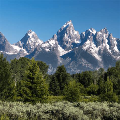 les tetons qui pointent|Les tétons qui pointent : comprendre ce phénomène physiologique